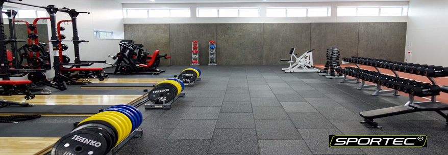 Sportec Base - dale cauciuc pentru zona greutati libere 